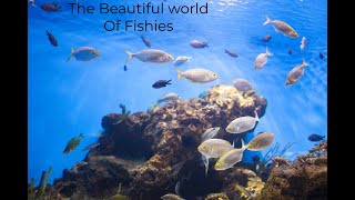 "Discovering the Secrets of a Full Sea: Unveiling the Spectacular World of Fish Species"
