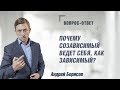 Почему созависимый ведет себя, как зависимый? Андрей Борисов