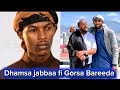 Dhamsa Jabbaa Fi Gorsa Bareeda U Galma Sara