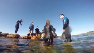 WOOLAMAI SEALS 2015 | surf lifesaving leadership program