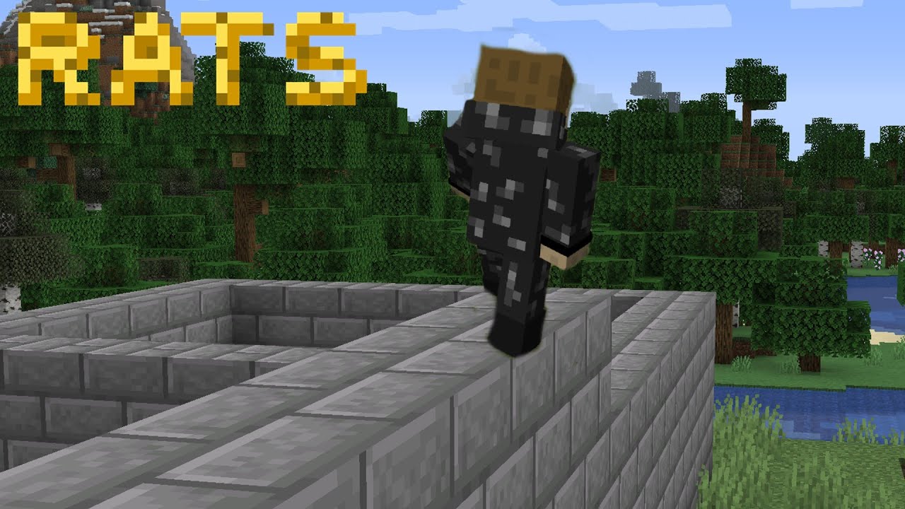 Minecraft With Rats and Dragons Part 10 - YouTube