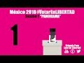 #VotarEnLibertad 1:Panorama