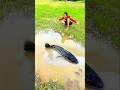 Survival Skills SMART Idea! 🎣 Hidden Pit Fish Trap Shocked Me! 😱🐟 #shorts