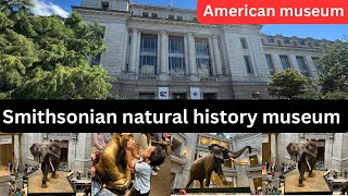 Smithsonian Museum of Natural History -Full Tour\/part 2\/Explore the Best Museums in Washington DC\/4k