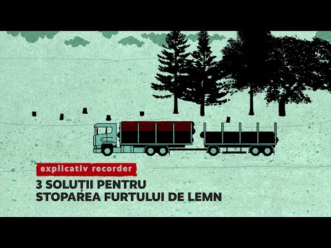 Video: Cum Se Dovedește Faptul Furtului