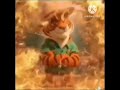 WILLDERNESS TIGERINI