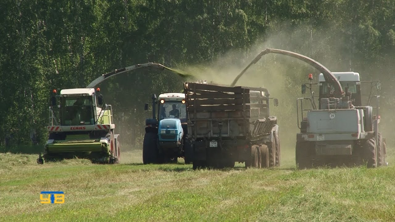 Зао нива ростовская область