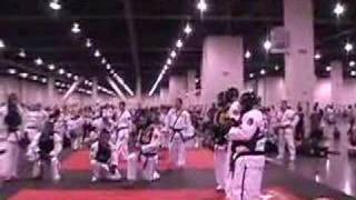 Master Kim Board Breaking