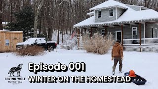 Snowy Days on Our Homestead & Adding New Baby Chicks |Ep:001|