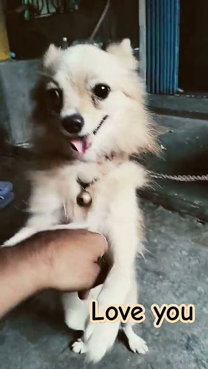 Masti time with Popi 🥰😘