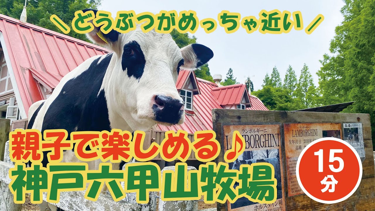 2022年最新★神戸六甲山牧場へ遊びに行ってきた♪