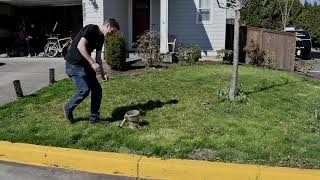 St Helens Stormwater Pollution Prevention