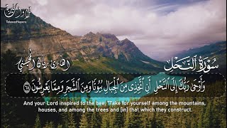 أرح مسامعك 🎧😴 بتلاوة عطرة || من سورة النحل || بصوت القارئ ريان المحيسني