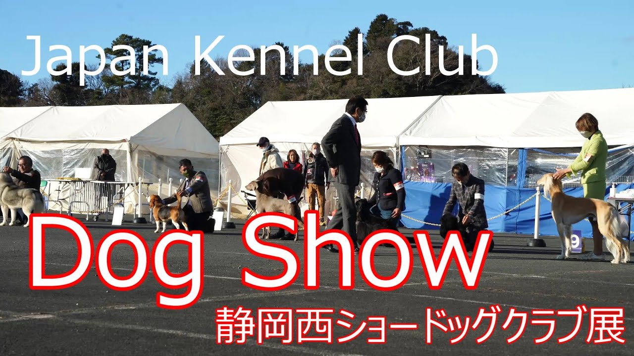 Japan Kennel Club Dog Show【静岡西ショードッグクラブ展】 YouTube