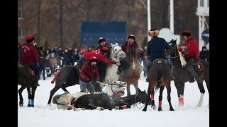 Кровавое побоище на Московском ипподроме ?!!! Жестокий вид конного спорта / Что происходит ?