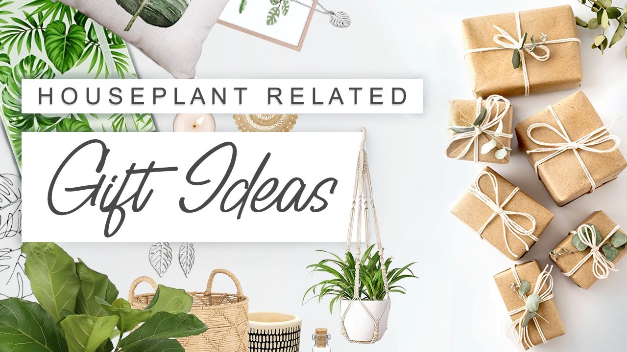 80+ Houseplant Gift Ideas 💚 AMAZING Unique Houseplant Related Gifts For