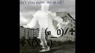 didn't you miss me at all?