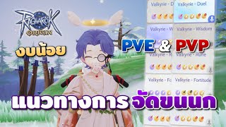 แนวทางการใส่ขนนนกสำหรับสายงบน้อย ทั้ง PVE และ PVP | Ragnarok Origin