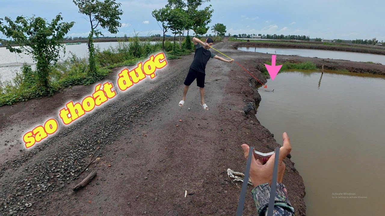 Ránh còng lưng mới đủ mòi đãi aE ná thủ , săn bằng ná ADam v2 Pro | Đảm Nguyễn