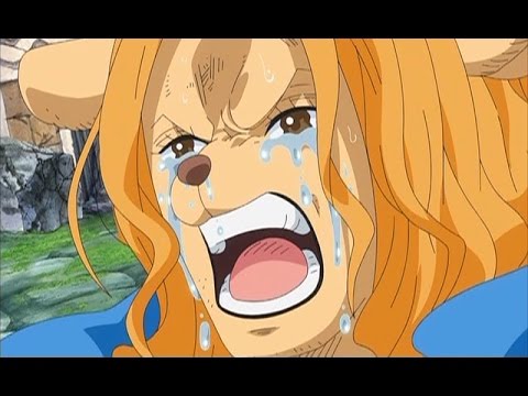 ONE PIECE　第761話予告「刻限迫る　ミンク族と一味の絆！」