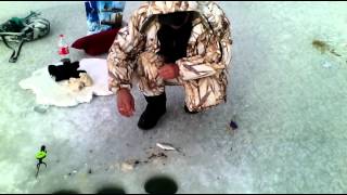 Зимний рыбалка казахстане озера терс 2015 подлещик