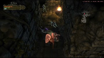 Ayn Odin Pro - AetherSX2 - Champions of Norrath (New Video & Settings)