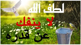 لطف الله لا ينفك عن قدره في تفريج الكرب