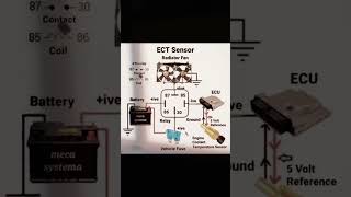 ECT Sensor Radiator Fan Wiring Diagram | ECU, Relay & Fuse Complete Explained  #wiringdiagram