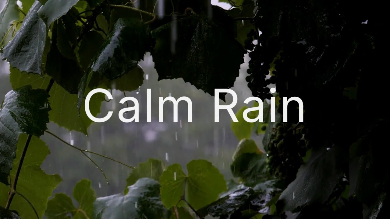 Calm Rain Sounds | 2 Hours | No Thunder | Sleeping & Relaxation