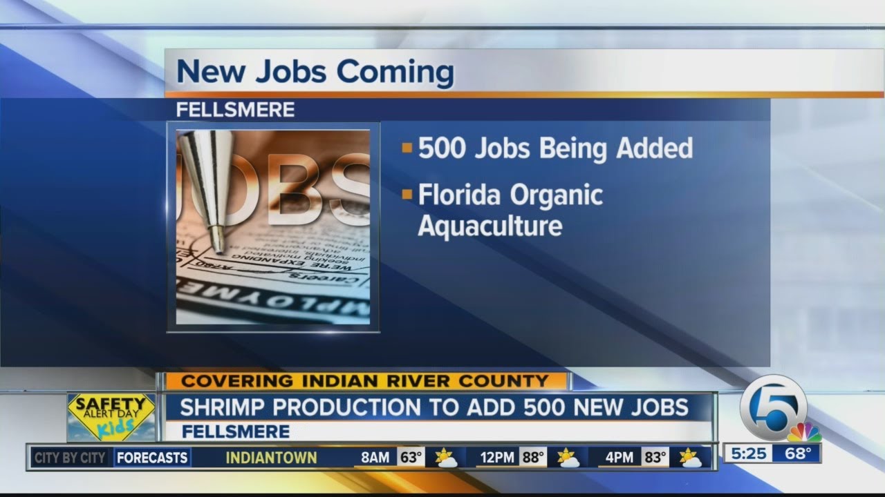 Fellsmere shrimp facility creating 500 jobs YouTube