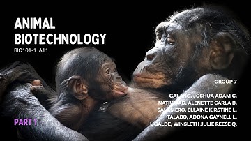 Animal Biotechnology (Part 1: Introduction) | BIO101-1 1T2526 A11 Group 7