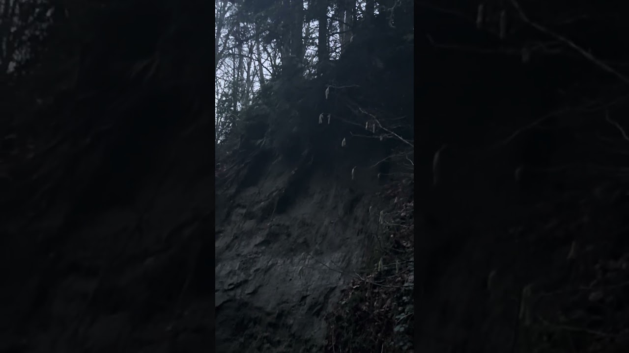 Collapsed  wall at Byrne creek