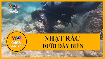 Nhặt rác dưới đáy biển - Thông điệp gìn giữ đại dương xanh | VTV4