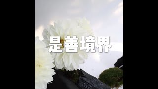 201812 是善境界50938