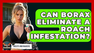 Can Borax Eliminate A Roach Infestation? - Insects and Invaders