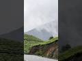 Munnar #gaproad #drive #travel #malayalamshorts