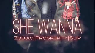 Zodiac “She Wanna” (Feat. Prosperity, Slip) -Official Audio-