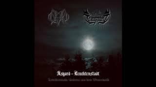 Asgard/Transzendenz - Leuchtenstadt/Schreie aus dem Winterwald (Full Split)