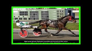 Breaking News | Bali tops at hippodrome 3r