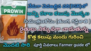 Prowin Herbicide Uses