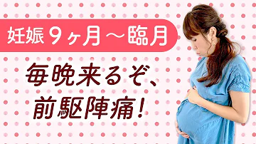 動けない 臨月は前駆陣痛が激しいし 眠いし お腹が重い Mp3