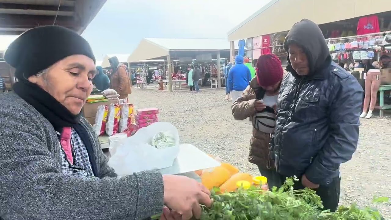 PRIMER SEMANA EN MATTAWA DEL REMATE 