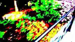 10 seconds a day - Flowerbed Walk Color Explosion! Flowercore Color Explosion
