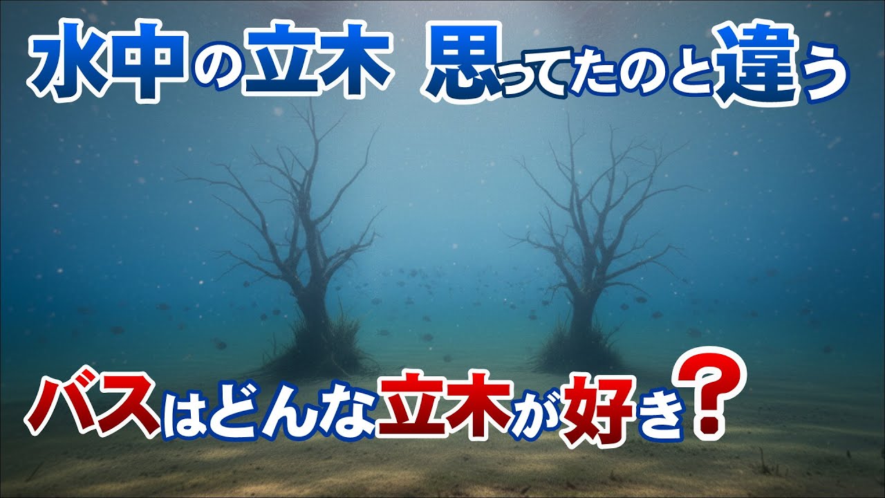 【バス釣り】思ってたのと違う!水中カメラで気になる立木を見てみた結果