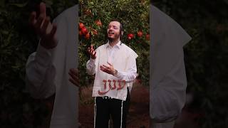 חיים אלטר - עננו