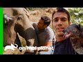 Dr. Evan Bonding With Animals | Evan Goes Wild