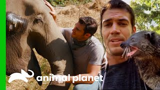 Dr. Evan Bonding With Animals | Evan Goes Wild