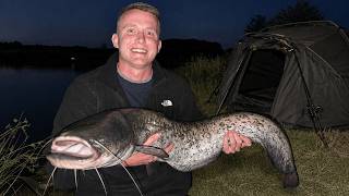 Difficult Session Fishing for UK Catfish (vlog)