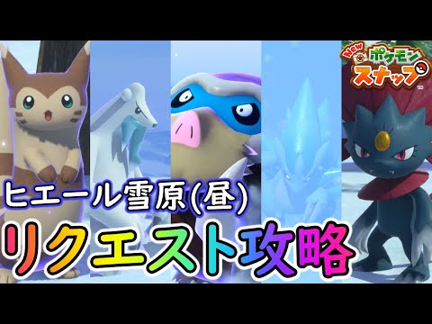 New ポケモンスナップ ヒエール雪原昼のリクエスト全17種の達成方法を完全解説 Youtube