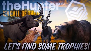 What trophies will we find tonight?! | theHunter: Call of the Wild